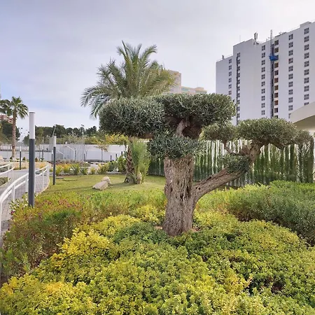 Sunset Waves Aparts By Rb * Benidorm